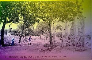 Tlemcen Environs 024